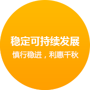 米采信息科技 網(wǎng)站建設(shè)
